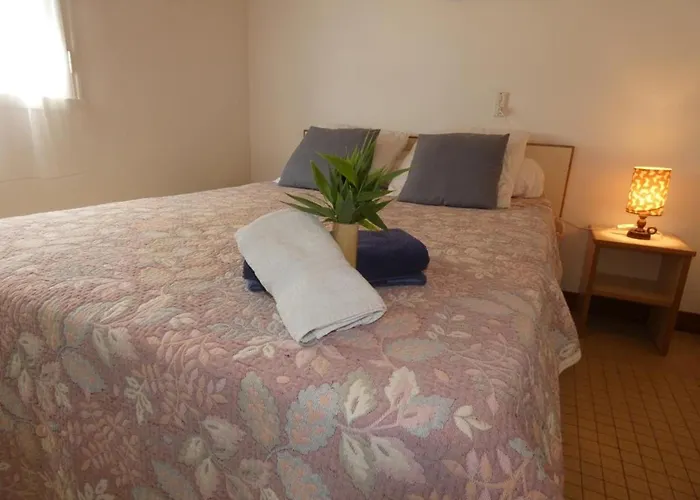 Maison Mitoyenne Avec Terrasse Et Parking, Animaux Admis, Proche - - Fr-1-540-299 Notre-Dame-de-Monts